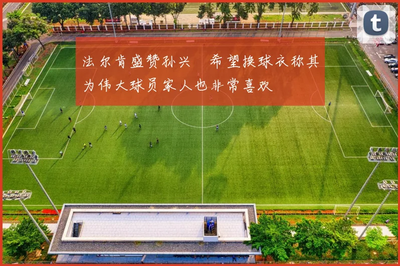 法尔肯盛赞孙兴慜希望换球衣称其为伟大球员家人也非常喜欢