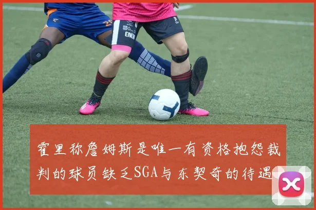 霍里称詹姆斯是唯一有资格抱怨裁判的球员缺乏SGA与东契奇的待遇