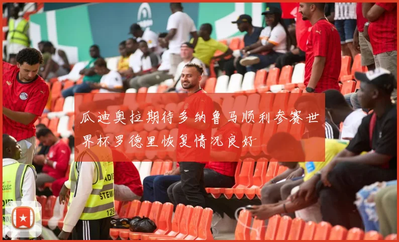 瓜迪奥拉期待多纳鲁马顺利参赛世界杯罗德里恢复情况良好