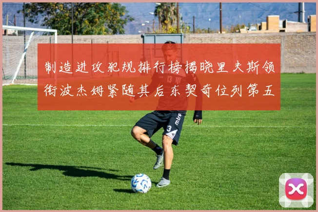 制造进攻犯规排行榜揭晓里夫斯领衔波杰姆紧随其后东契奇位列第五
